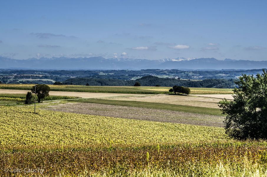 Balade en calèches en CAPI