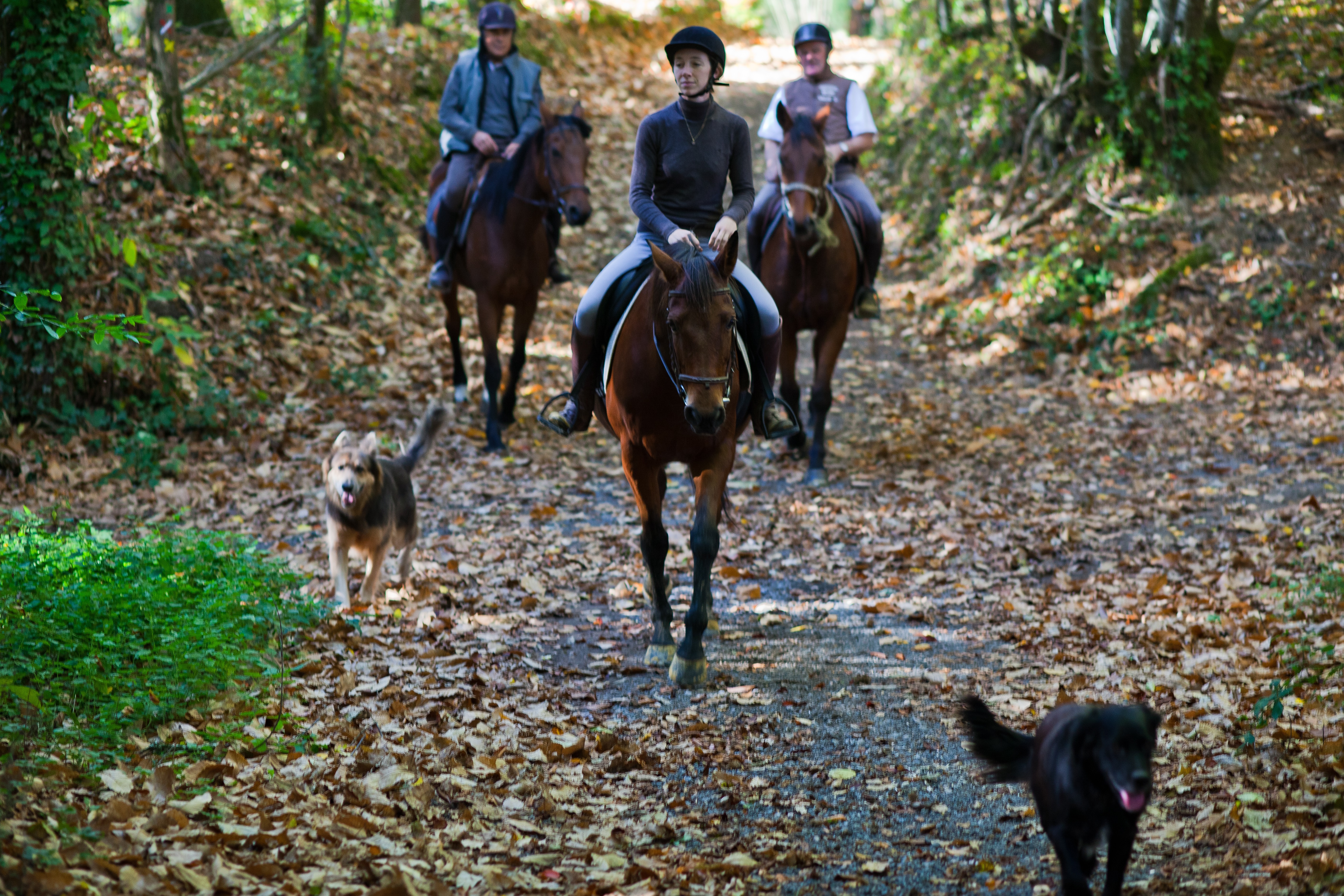 Centre Equestre Le Grand Verger