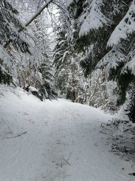 Itinéraire de raquette 