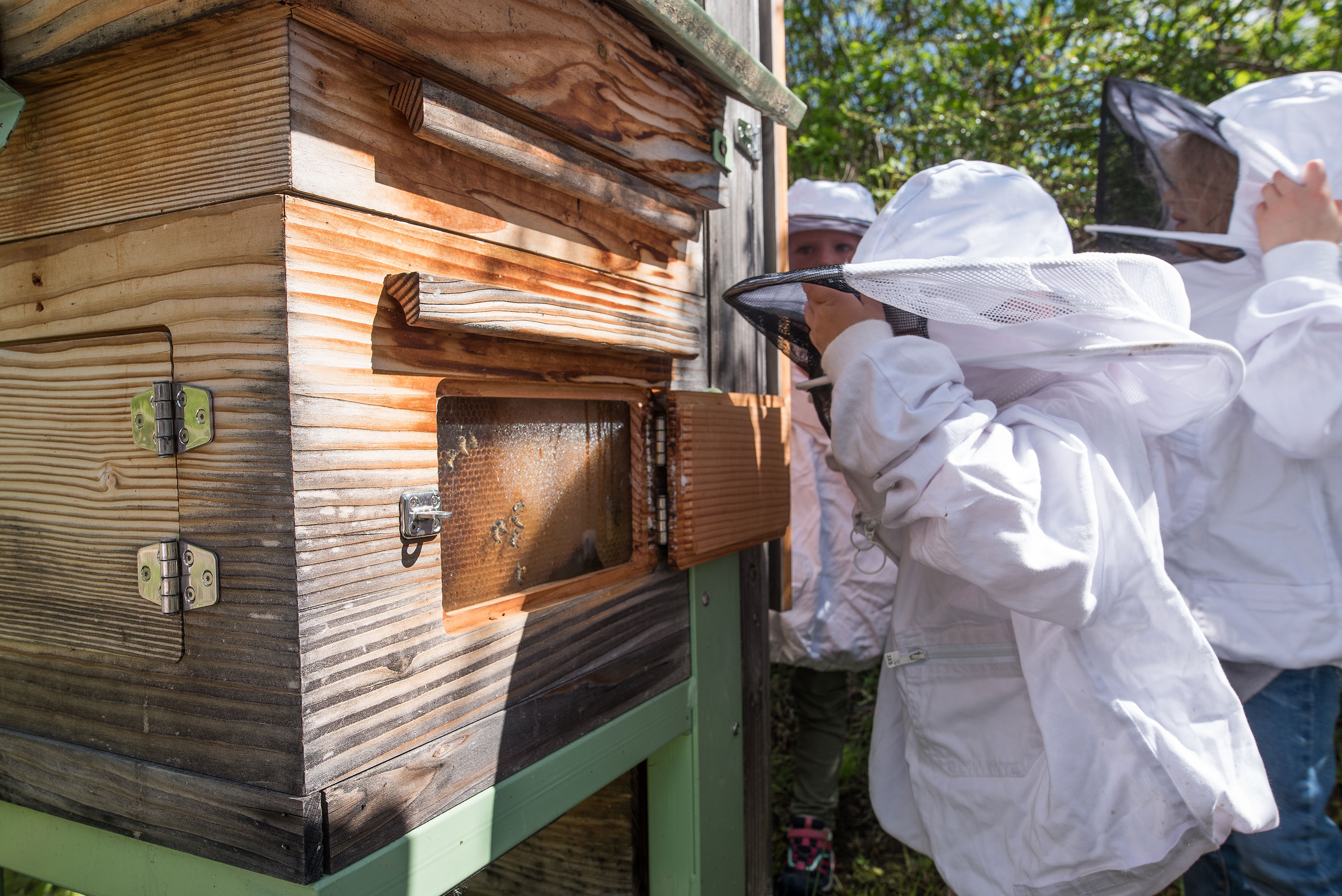 atelier-abeilles-ruches-abbaye-mai22_-(12) Y.TisseyreOT Vallée d'Aulps