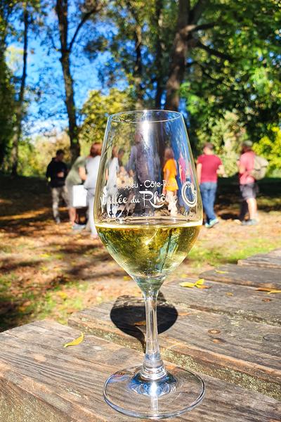 Apéro Vignes au Domaine Pichon_Chavanay