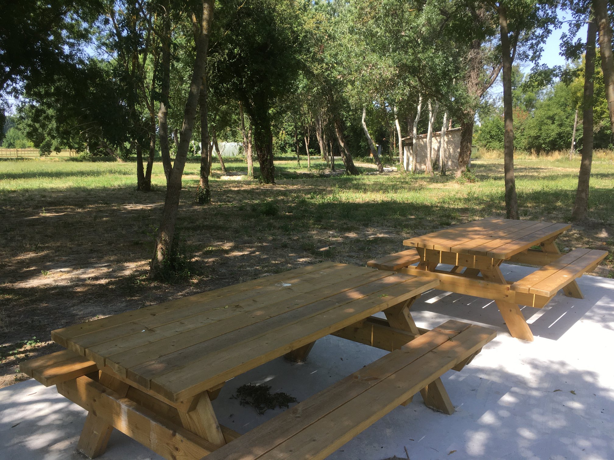 Aire de pique-nique du Lauron des femmes, Mollégès - photo 4