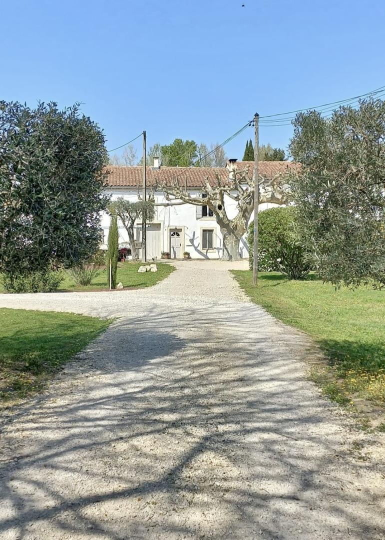 Mas Hector, Châteaurenard - photo 5