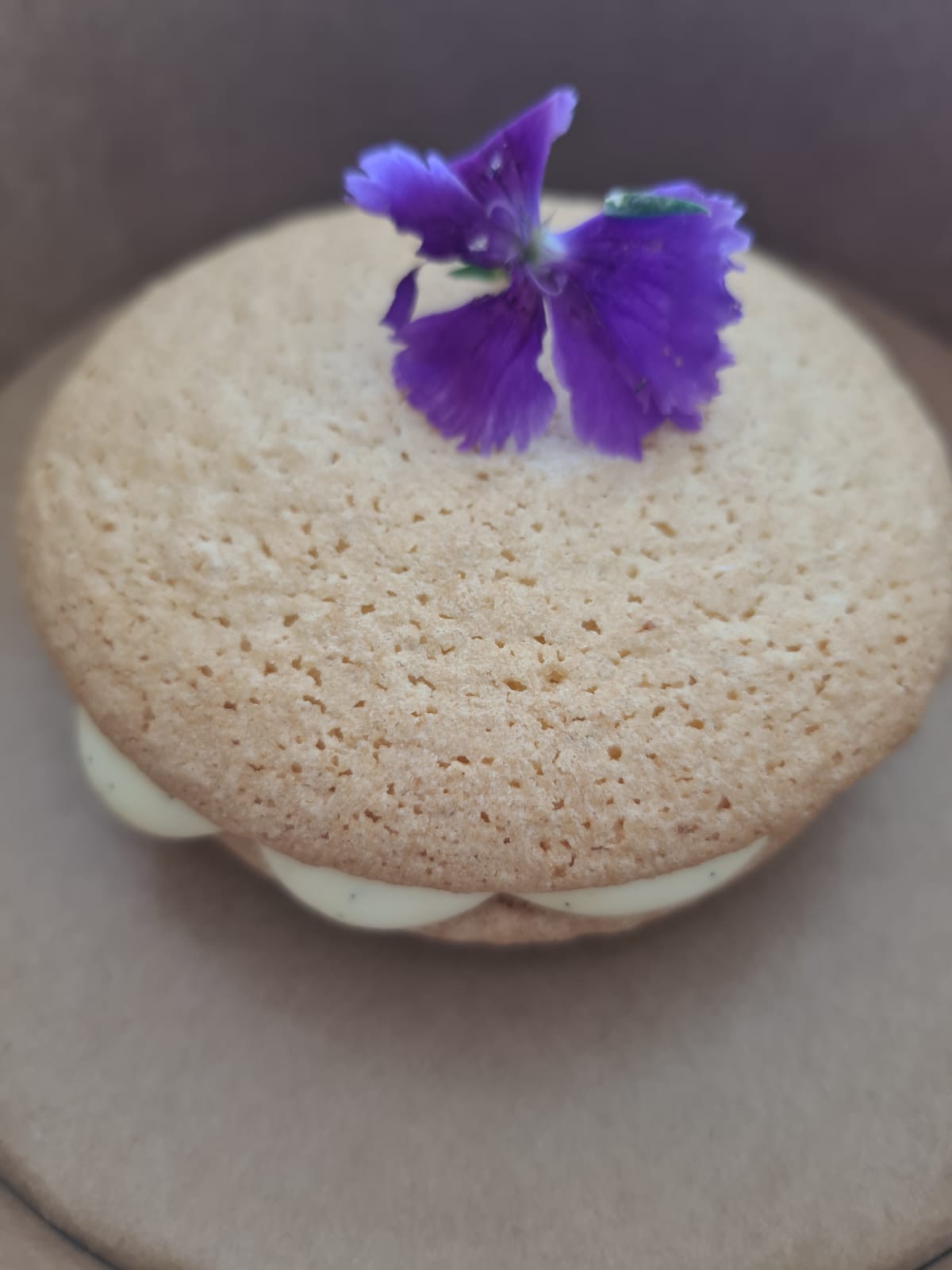 LE PETIT ROSSINI - photo 4