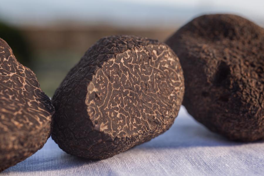 Zoom truffe Noire