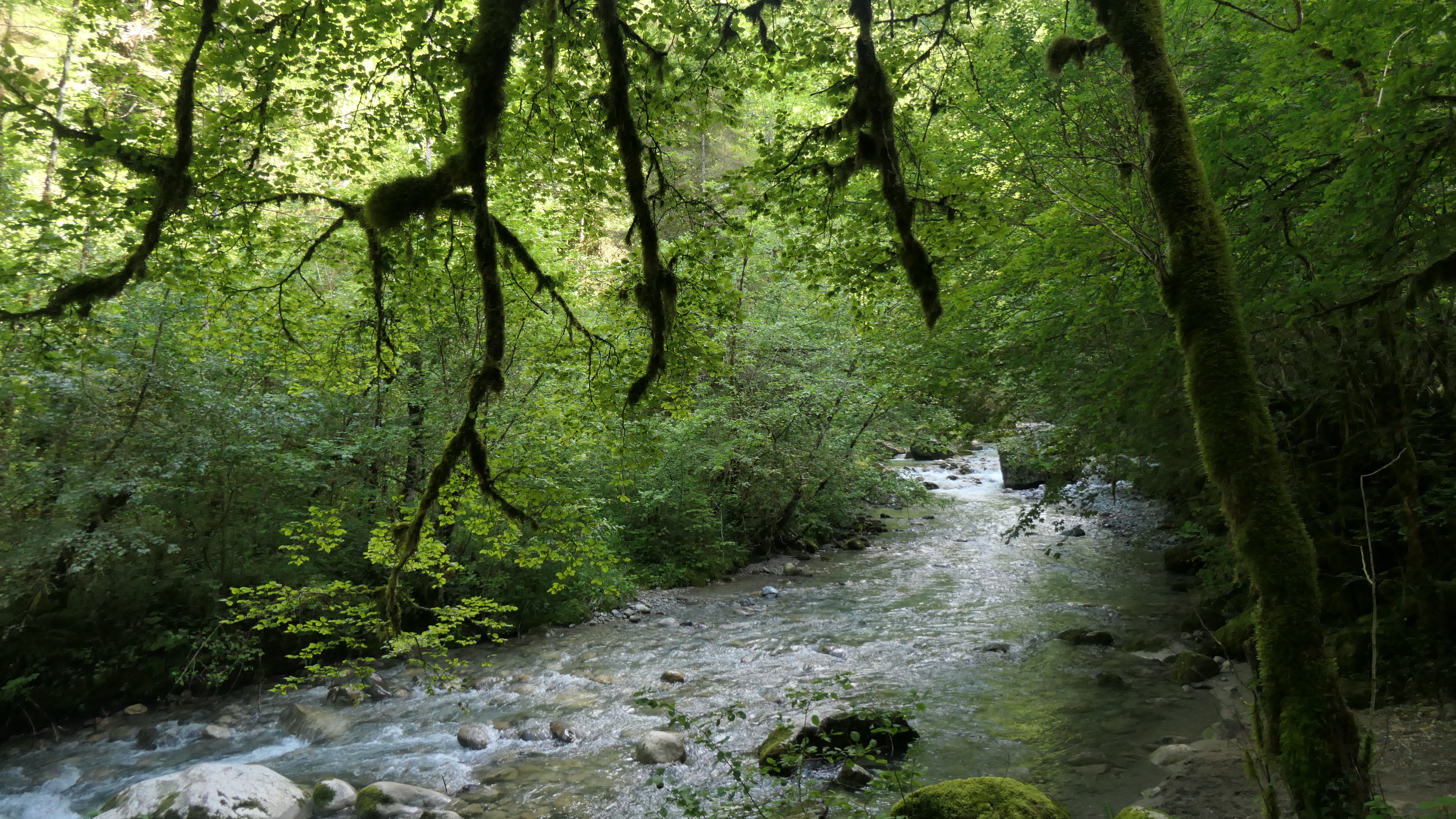 photosFeed-https://static.apidae-tourisme.com/filestore/objets-touristiques/images/230/38/32253670.jpg