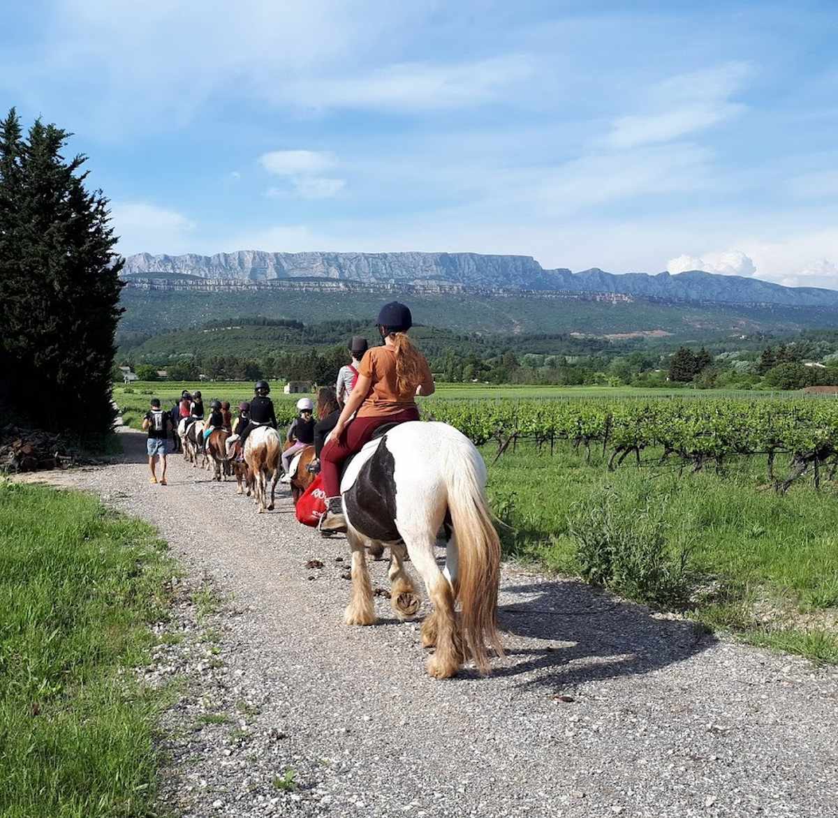 balade-vue-ste-victoire