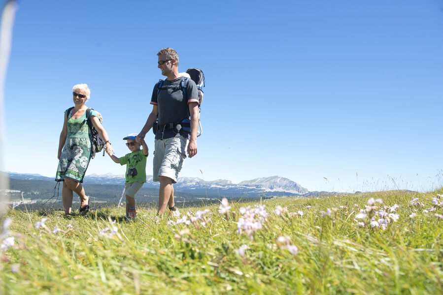 Sentier Le bois du Loup