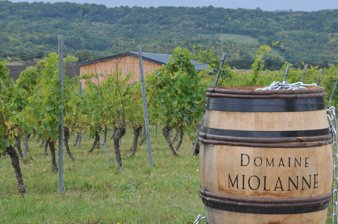 Domaine Miolanne
