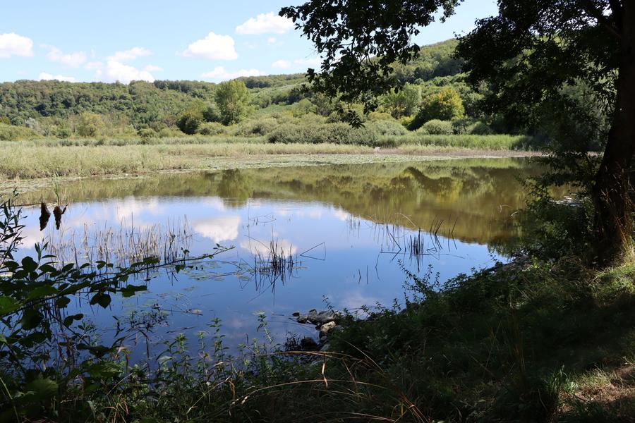 Arrivée sur l'étang de Chalignieu_Chozeau