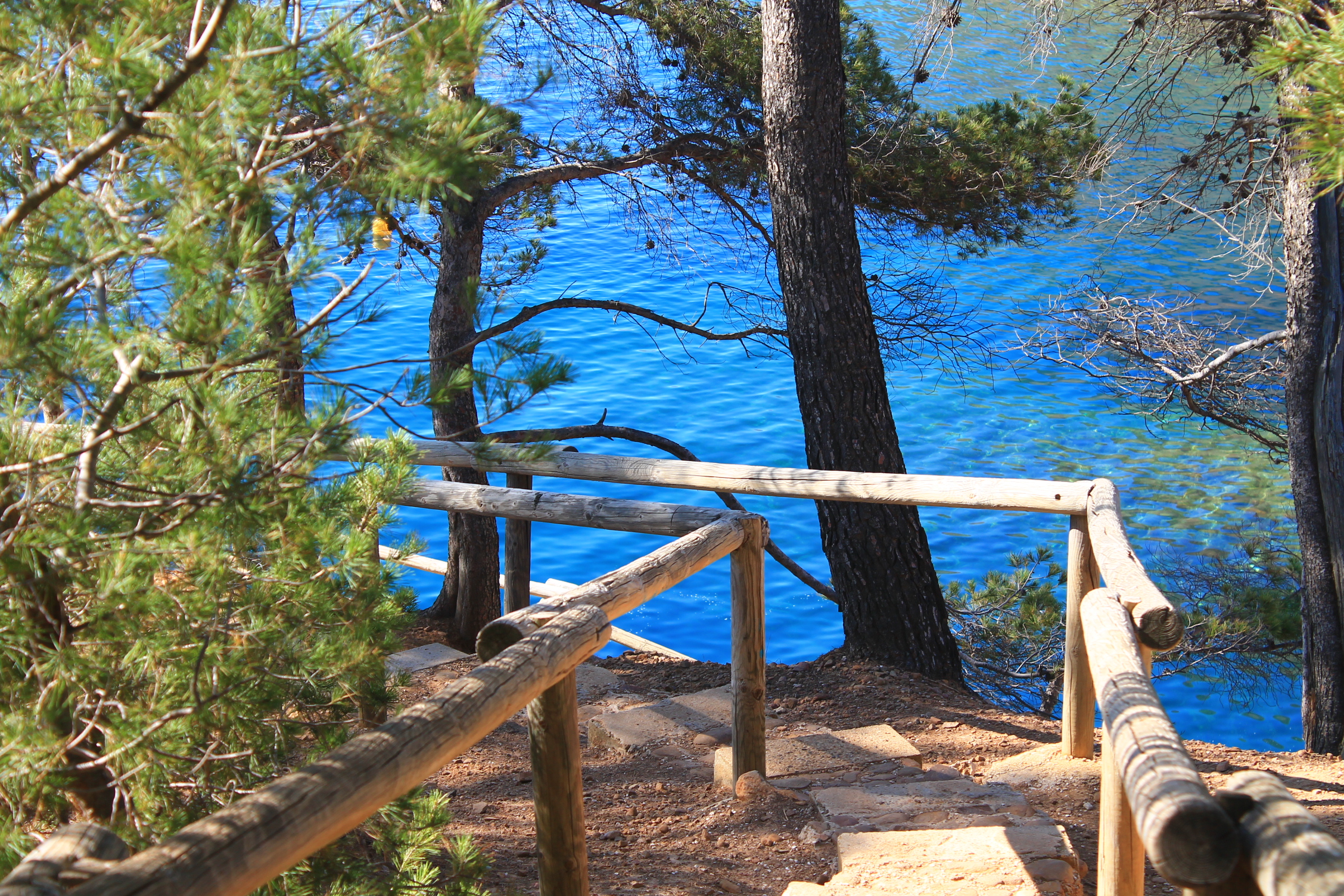 Découverte des Calanques, La Ciotat - photo 6