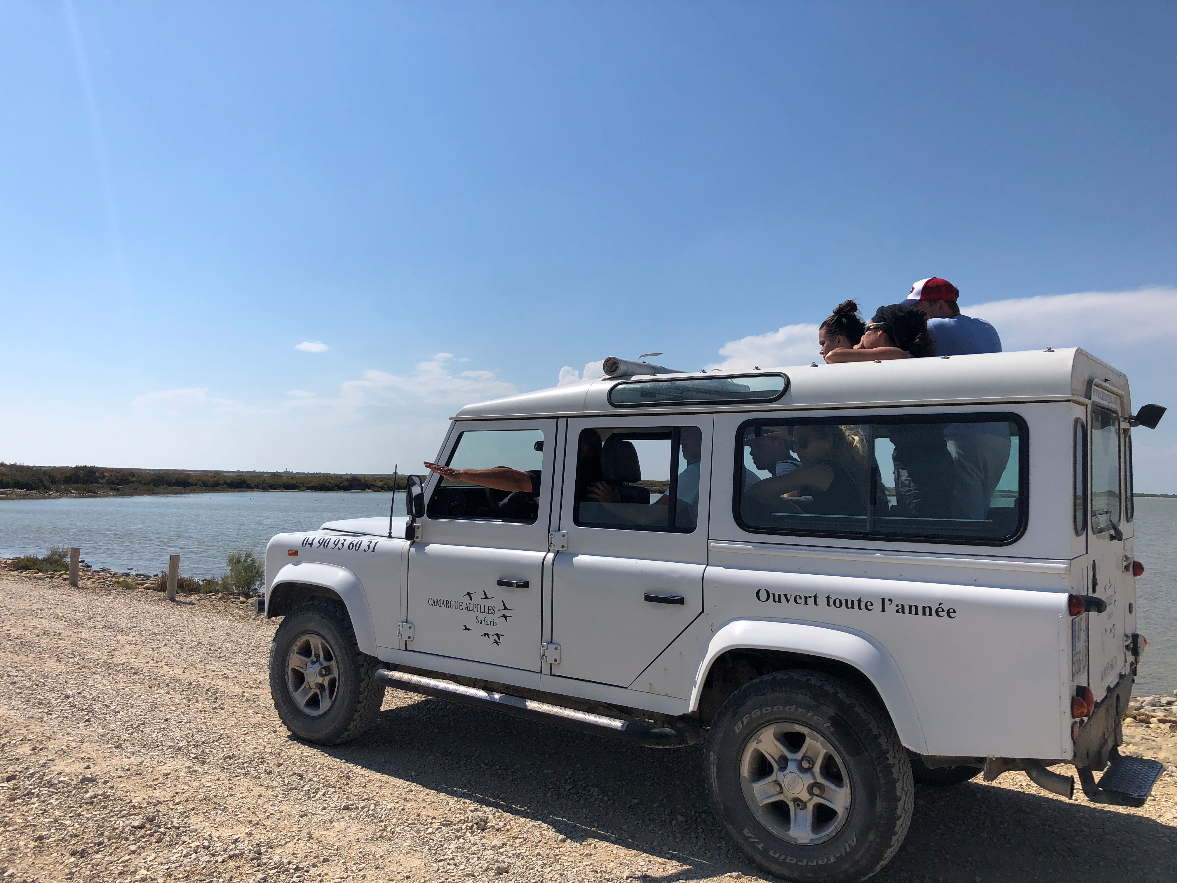 Camargue-Alpilles Safaris