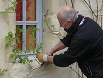 Initiation à la taille des rosiers_Saint-Antoine-l'Abbaye