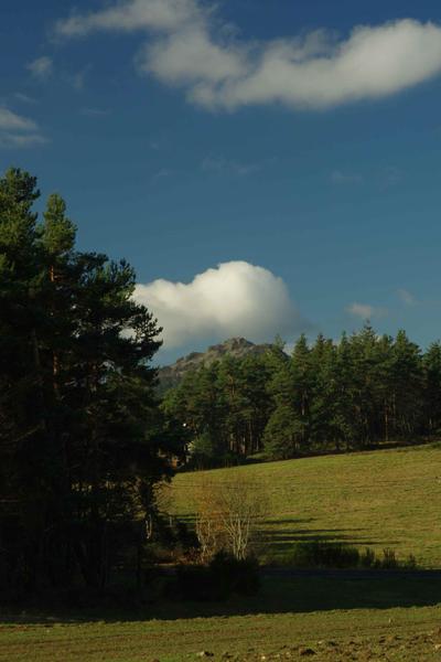 Lectures sous l'arbre_Mazet-Saint-Voy