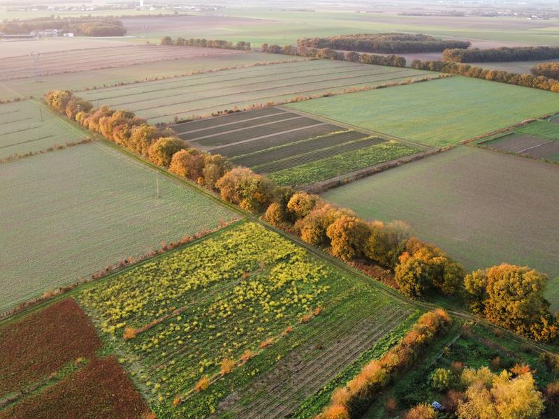 La Ferme du Mont dOr
