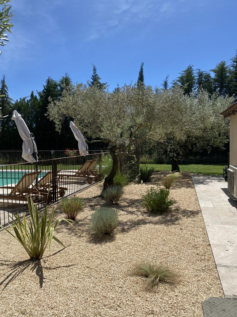 Les Bressières, Sénas - photo 14