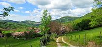 Marchamp Bugey