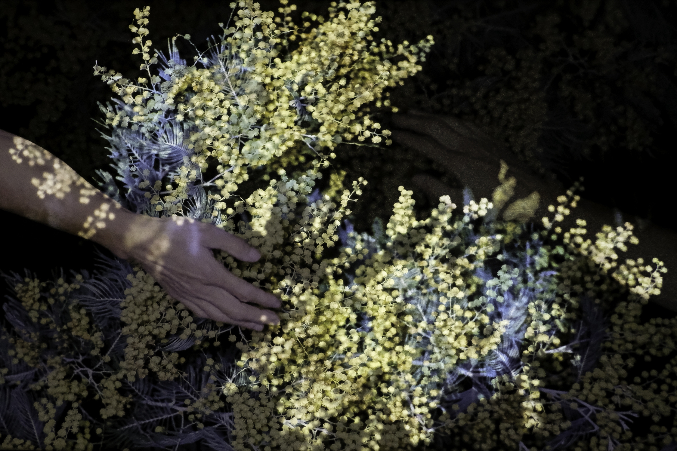 Eric Rumeau-Sur la surface, à peine- 2025