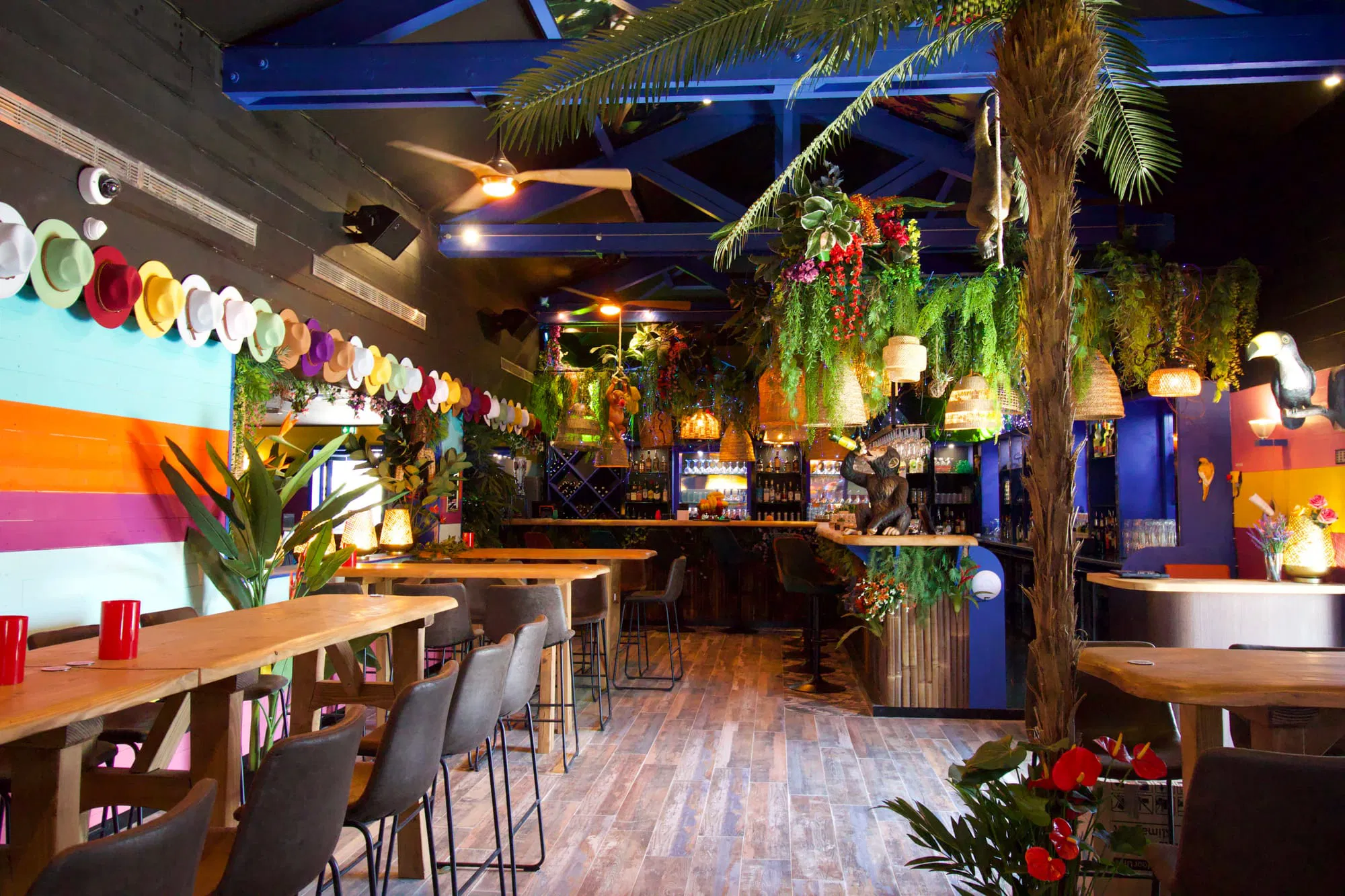 L'Havana Pub, Pertuis - photo 2