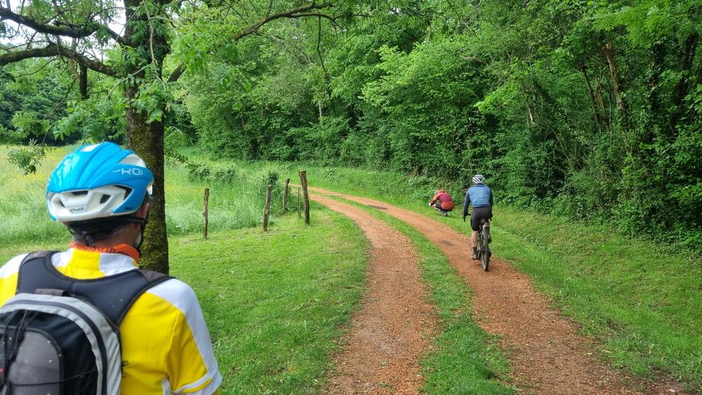 Circuit VTT-VTC n°21 (rouge) Cheminées Sarrasines & Etangs bressans_Saint-Trivier-de-Courtes