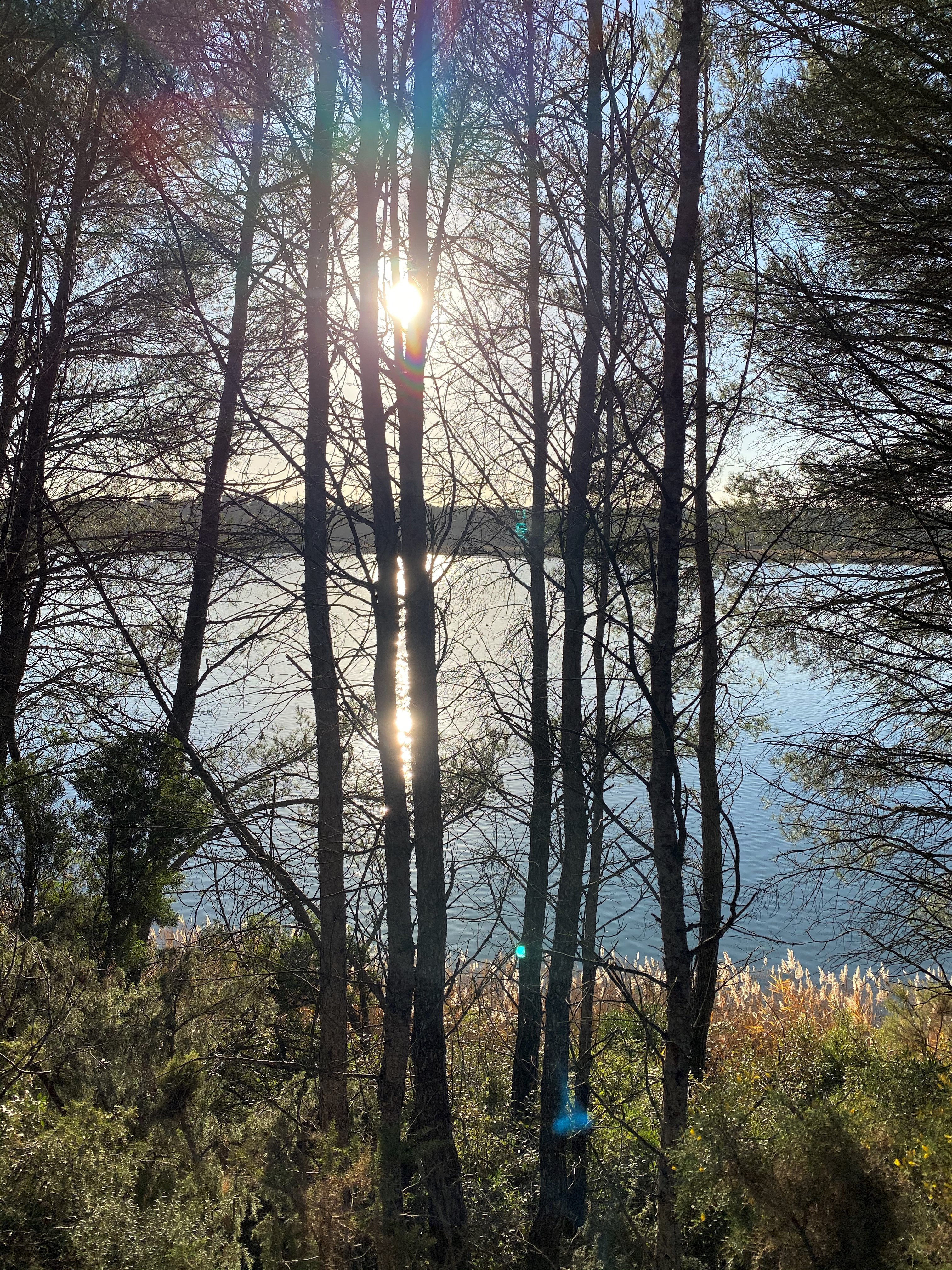 Studio 102, Cabriès - photo 7