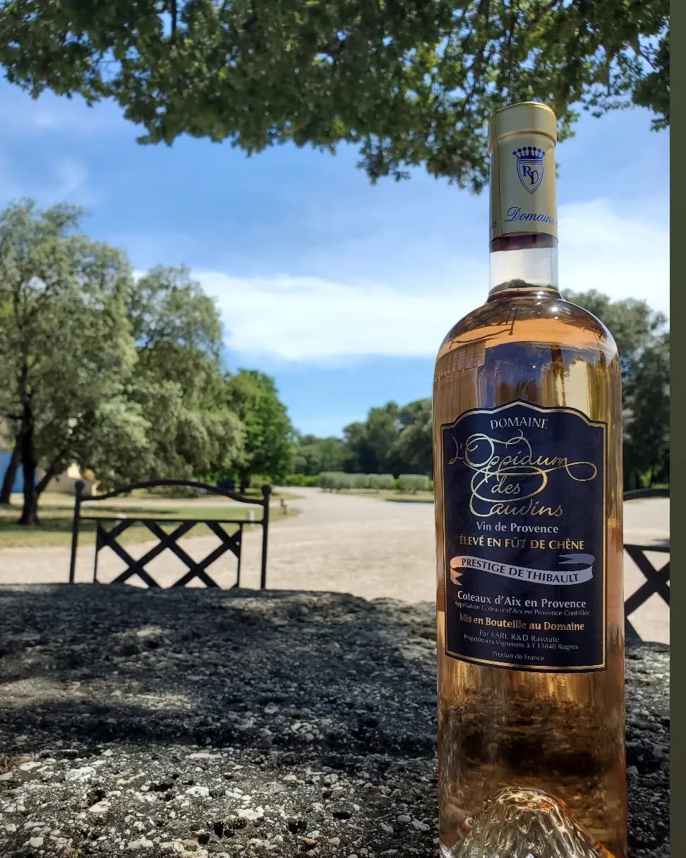 Domaine l'Oppidum des Cauvins — photo 3