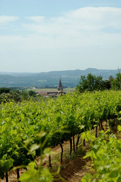 Caveau Cellier des Gorges de lArdèche