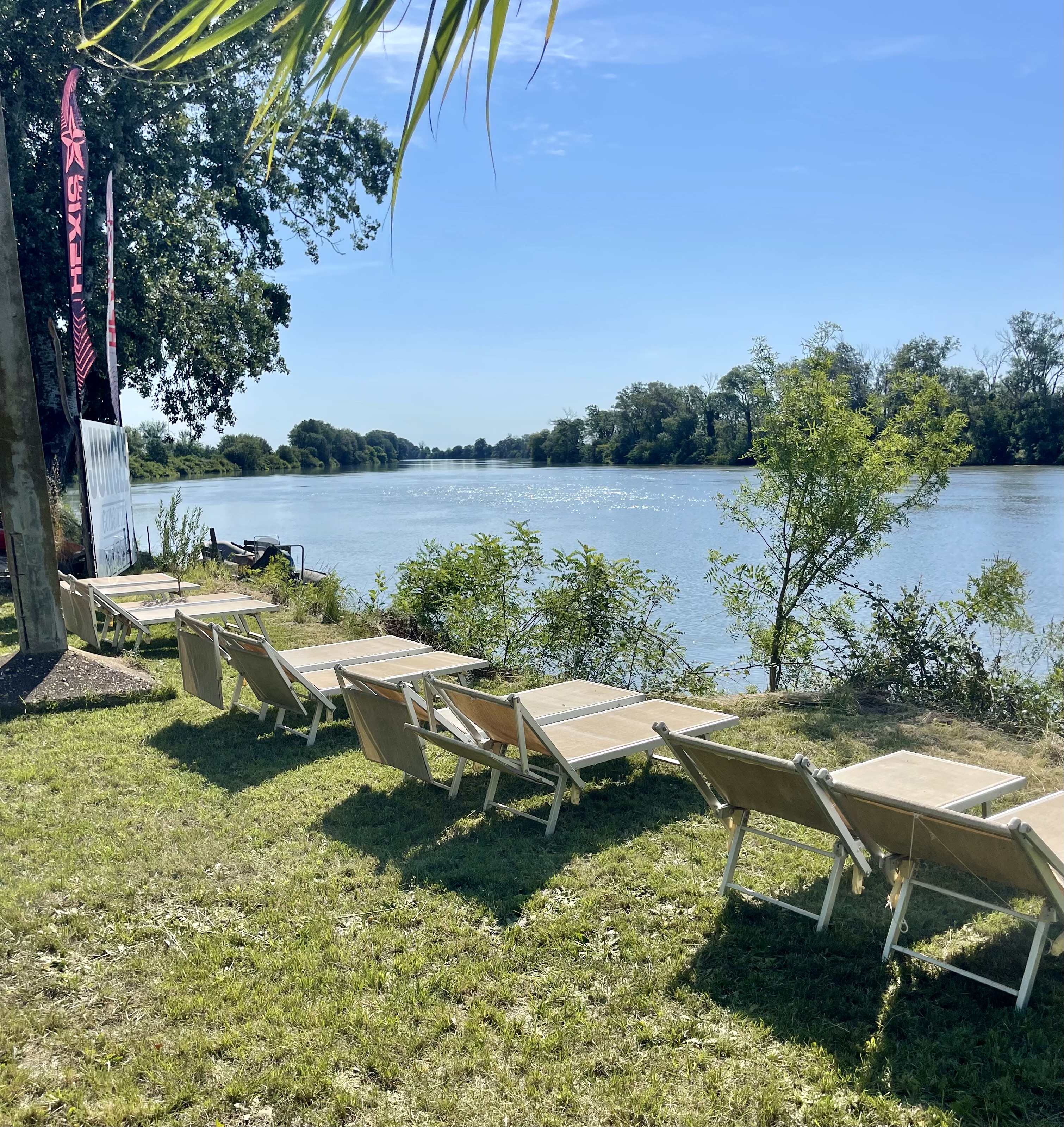 Jungle Ginguette - photo 4