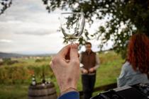 Aux ori'vignes de Goutelas - visite gourmande_Marcoux