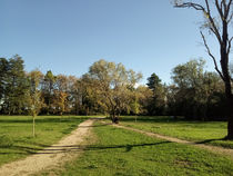 Parc de Vaugrenier - Villeneuve-Loubet