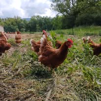 499728806_122131687208790210_4214320403482809421_n