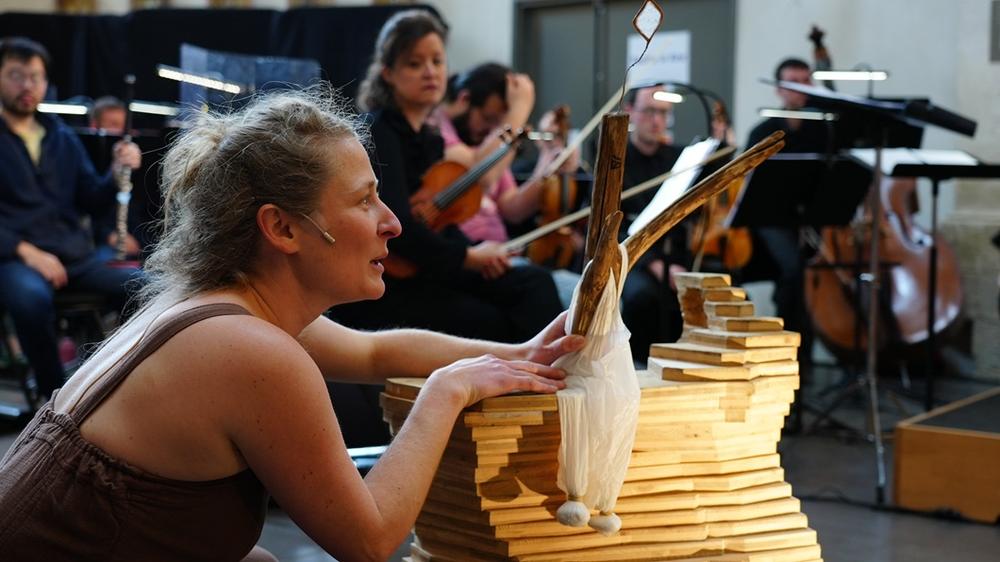 Monsieur Bois_Avignon