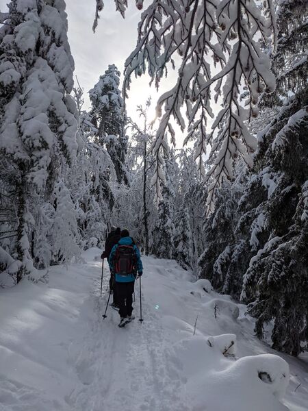 Randonnée raquettes