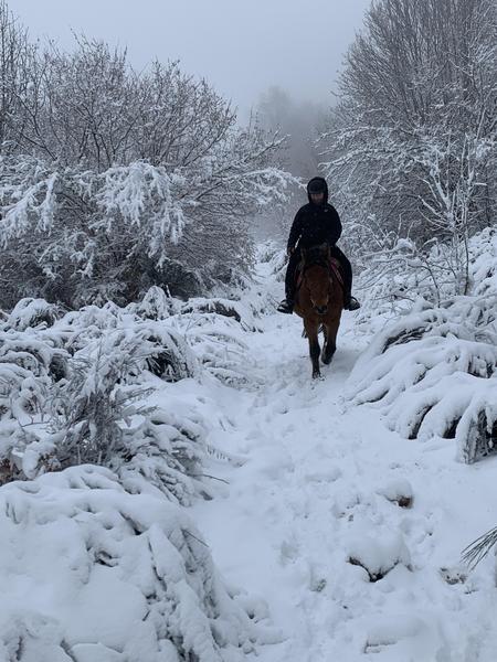Balade hivernale
