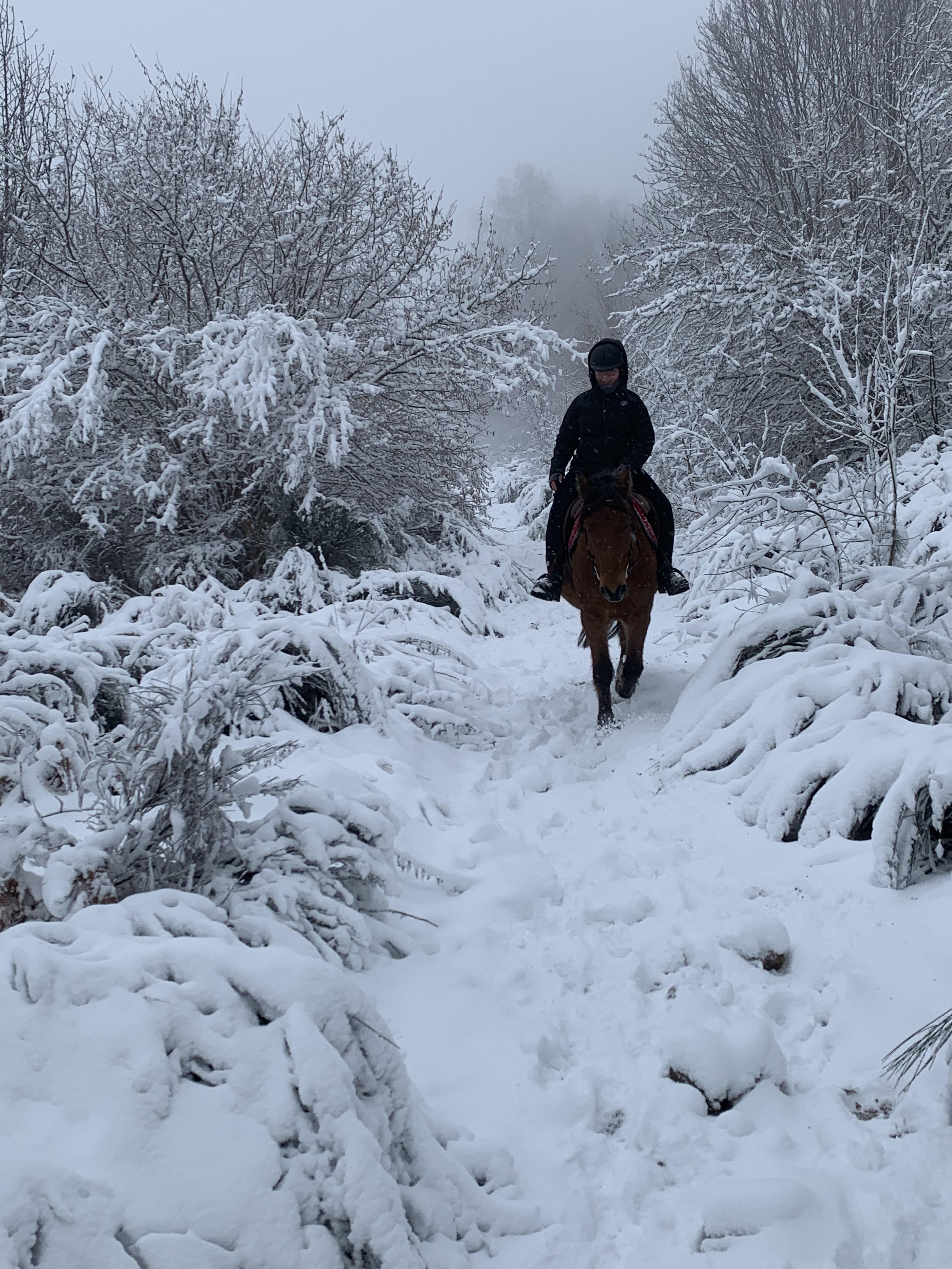 Balade hivernale