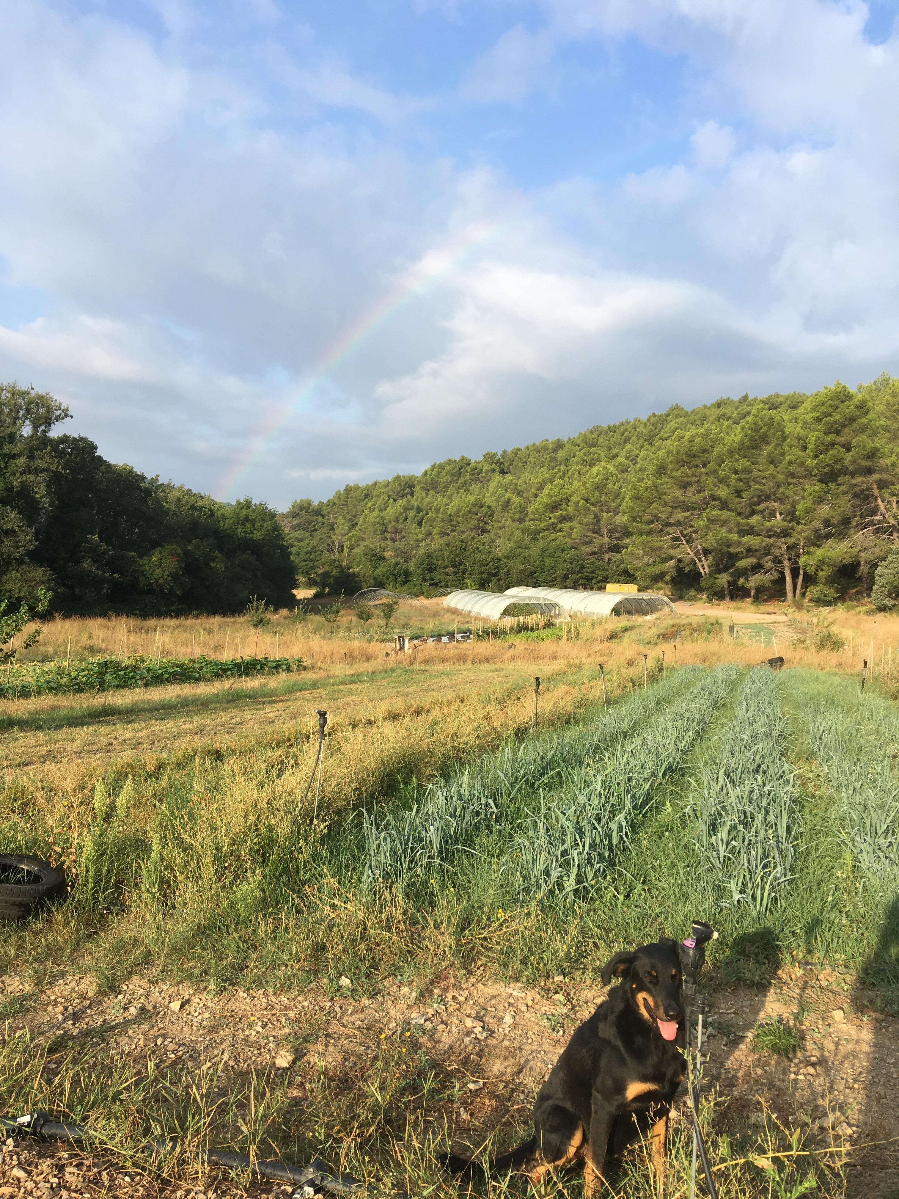 Le maraicher de Bimont