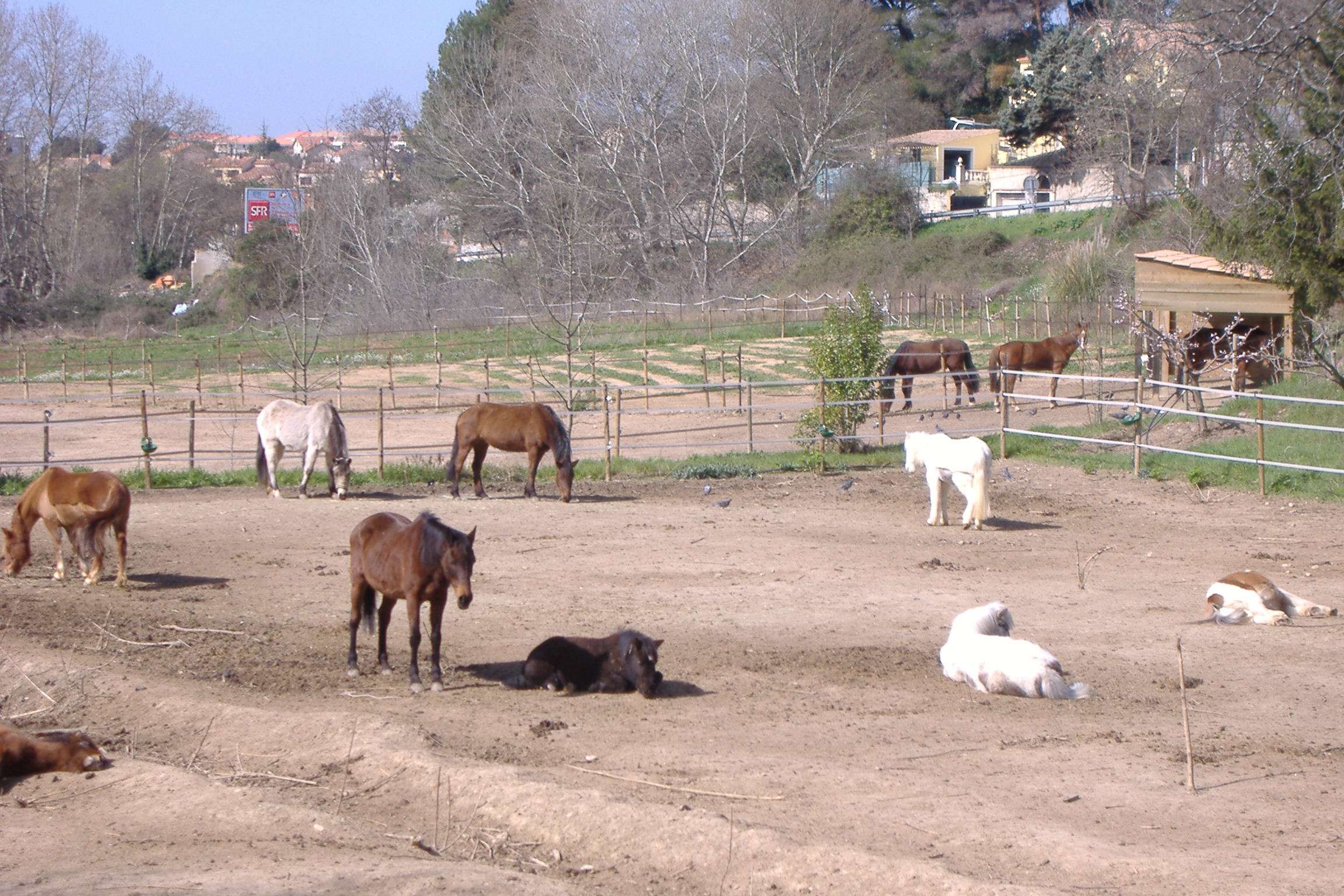 Ecuries de Loubresse - photo 2