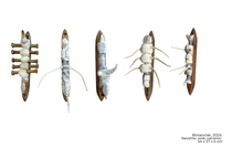 Exposition et ateliers de l’artiste textile canadienne Tina Marais_Crémieu