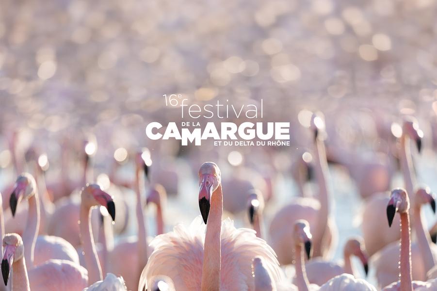 Le Festival de la Camargue au parking de la Comtesse