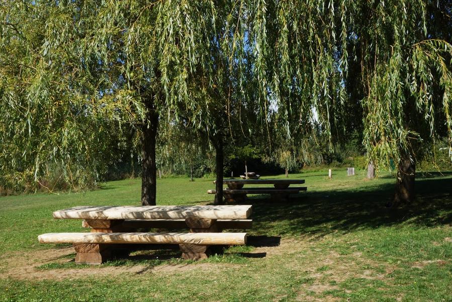 Plage de Montferrat tables à l'ombre