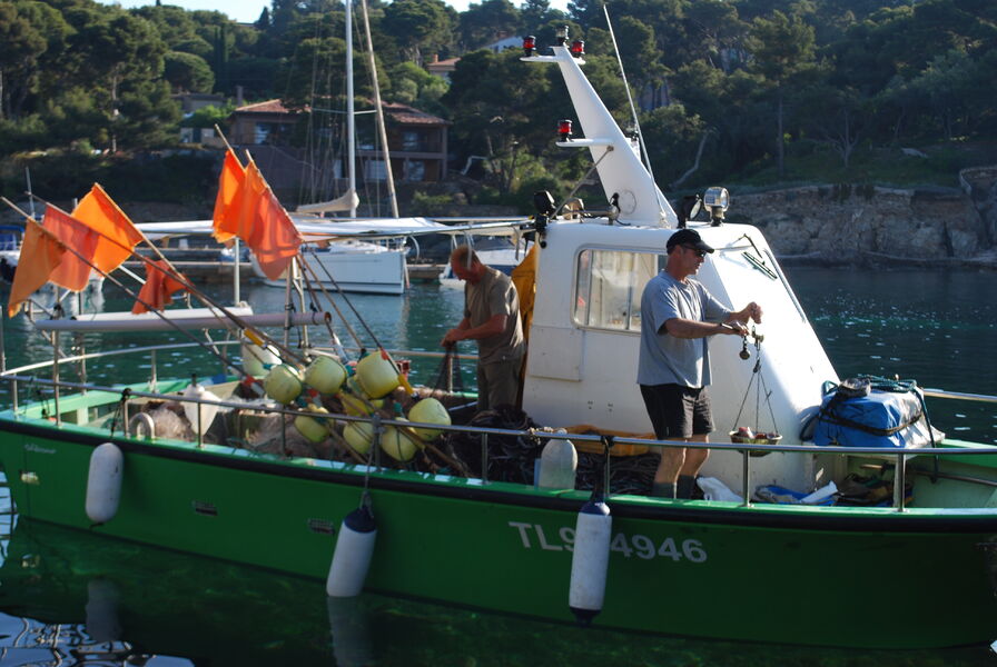 Le port du Niel à Giens