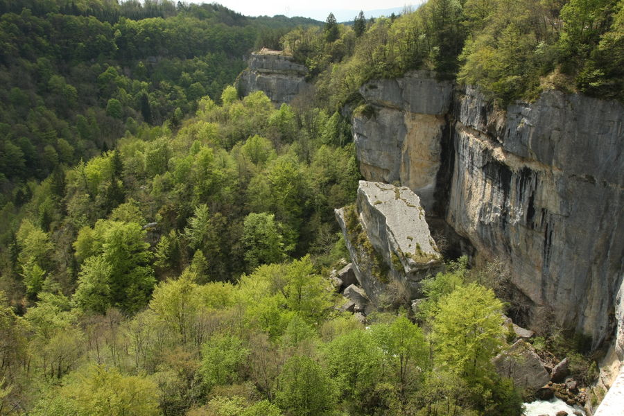 http://Explorez%20la%20Biodiversité%20de%20la%20Réserve%20Naturelle%20Régionale%20de%20la%20Galerie%20du%20Pont%20des%20Pierres