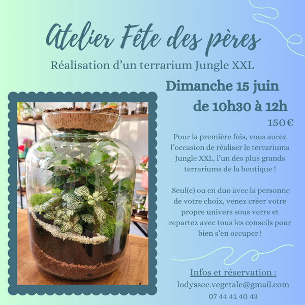 Atelier spécial Fête des pères - Terrarium XXL