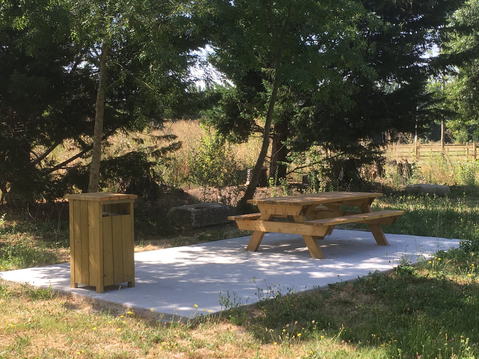 Aire de pique-nique du Lauron des femmes, Mollégès - photo 2