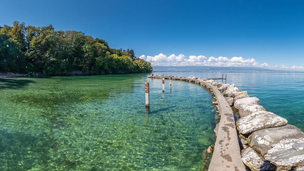 Lac Léman depuis Rovorée