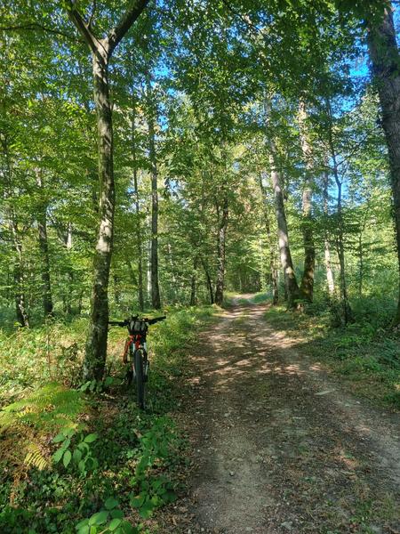 Les grandes terres de Marboz