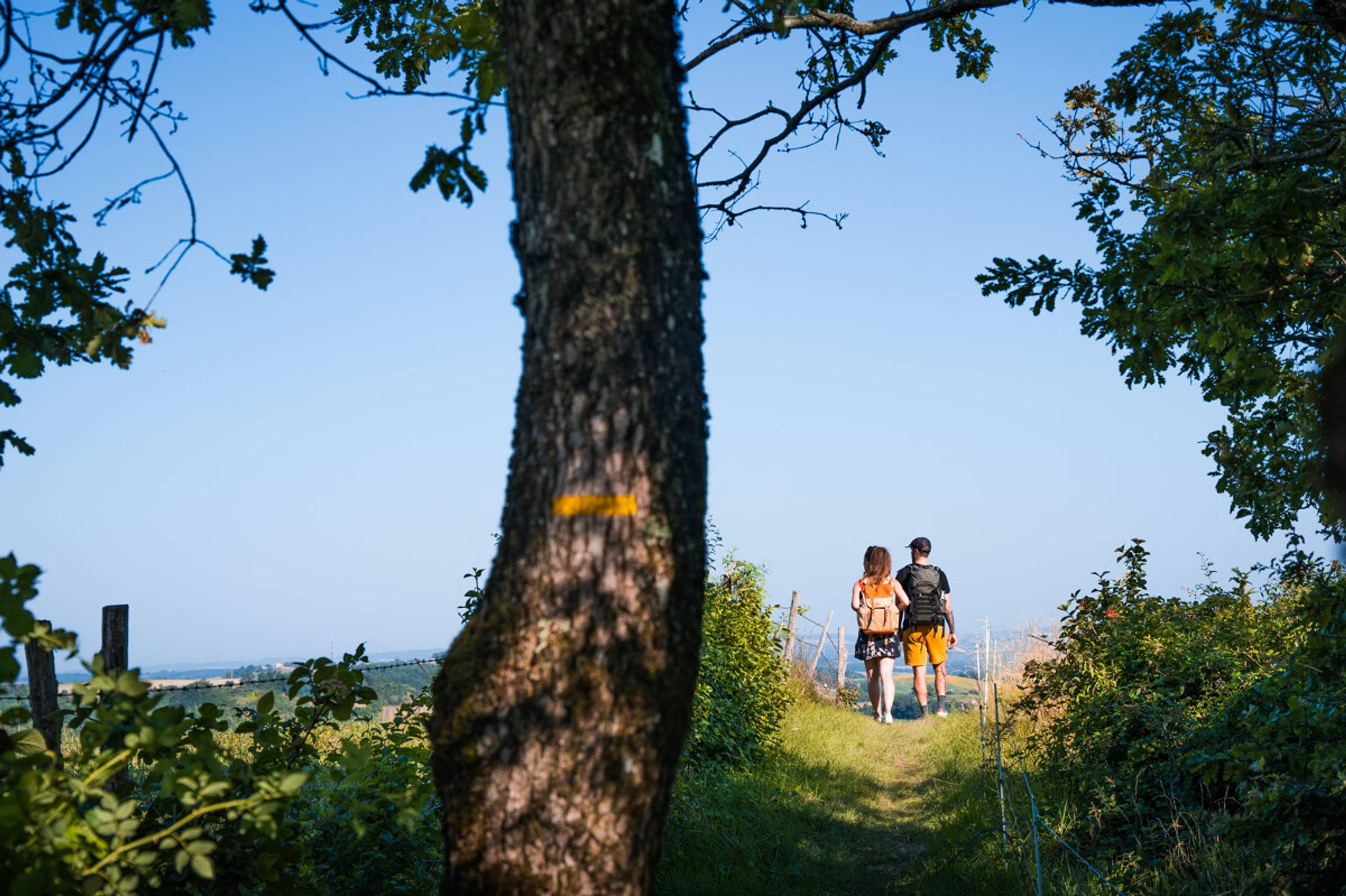 campagne-entre2poles-32155-1200px-cwmttlfq4vgx