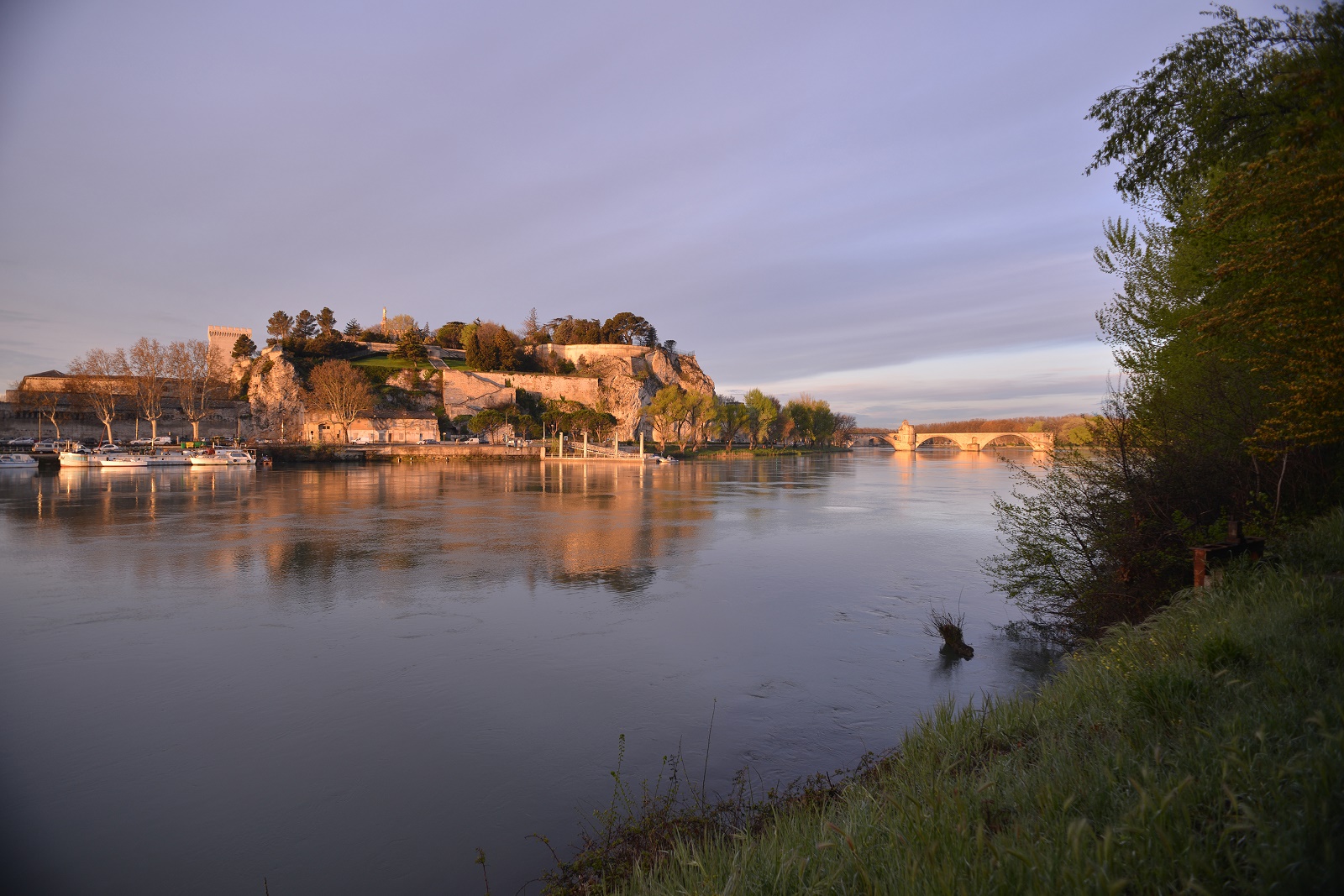 Avignon vu du Rhône