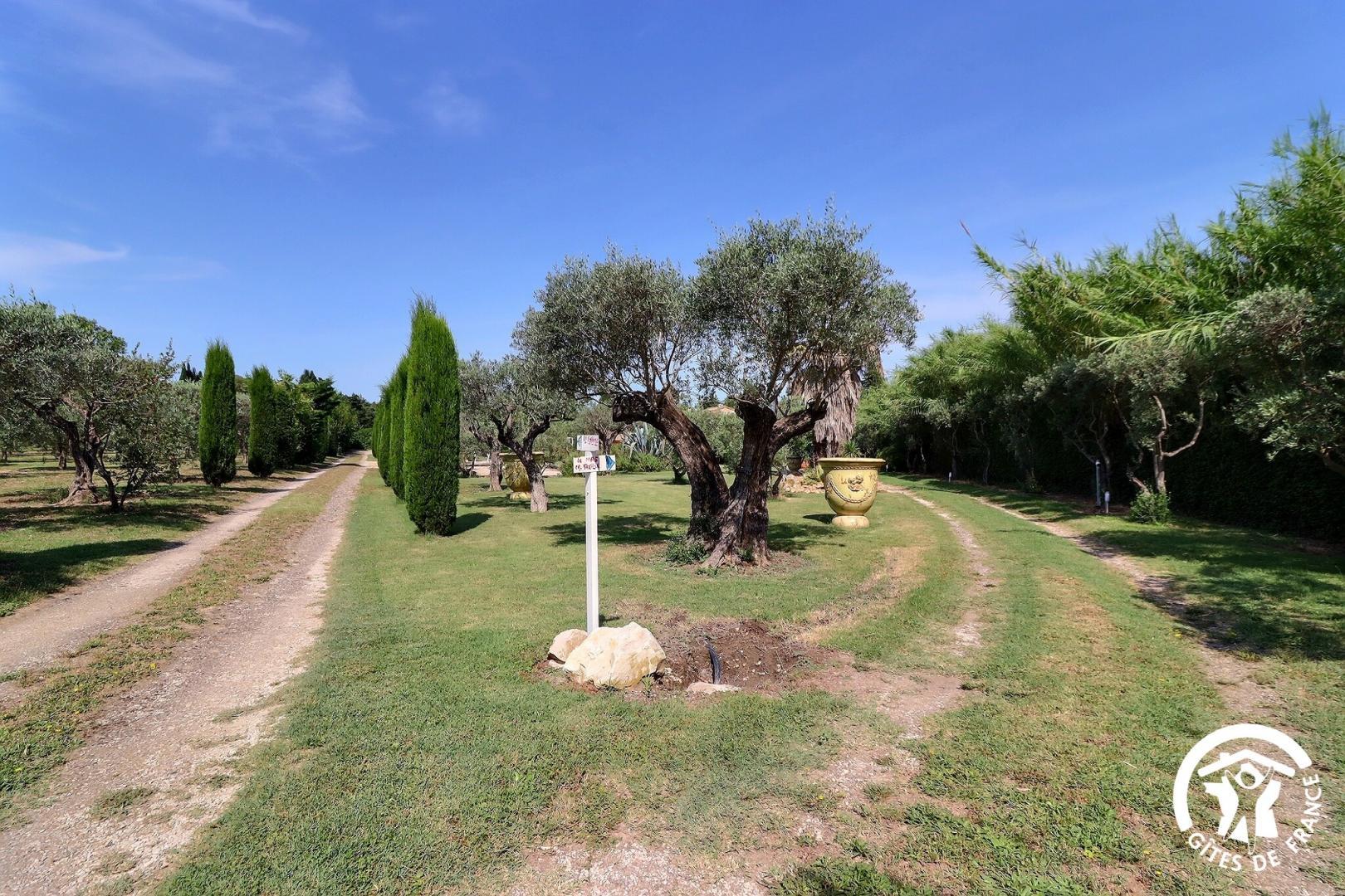 Le Tournesol - photo 4