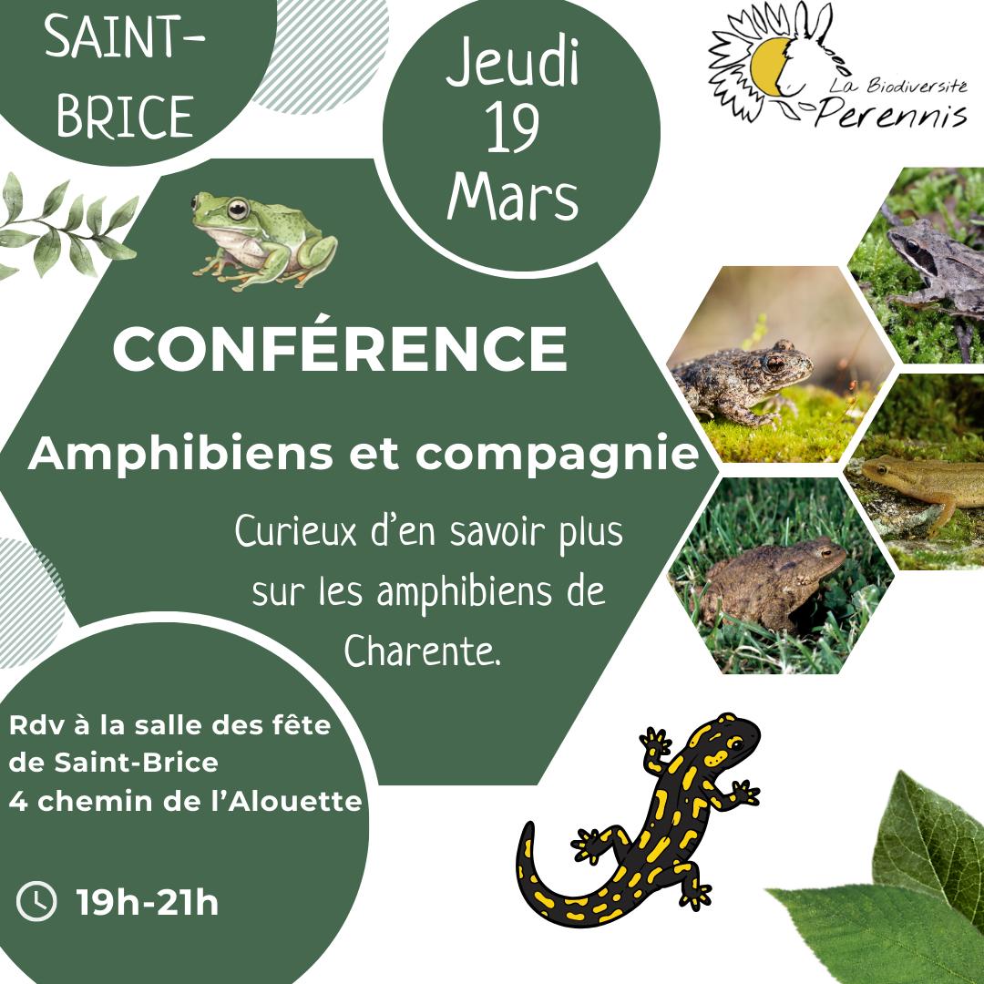 Conférence Perennis | Amphibiens et compagnie